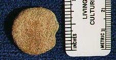 Stone disk