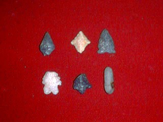 Latest Finds