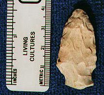 Unknown01