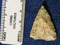 Unknown04