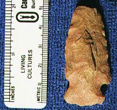 Unknown05