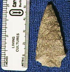 Unknown06